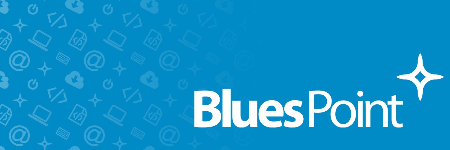 Blues Point - IT Recruitment banner