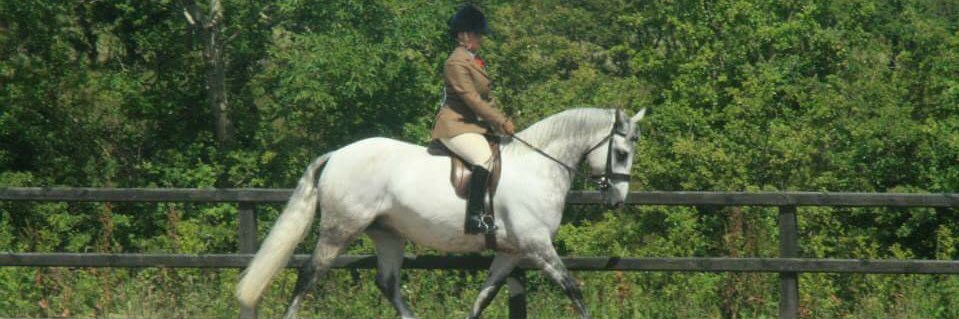 jayne_maxwell's profile banner image