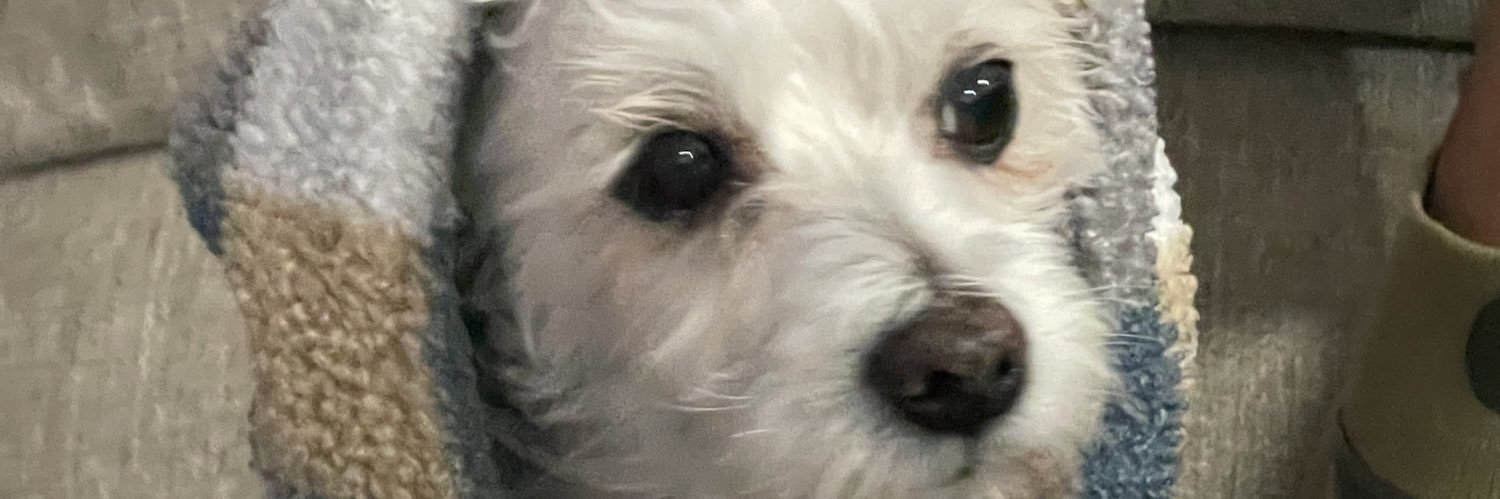 aaandrea95's profile banner image
