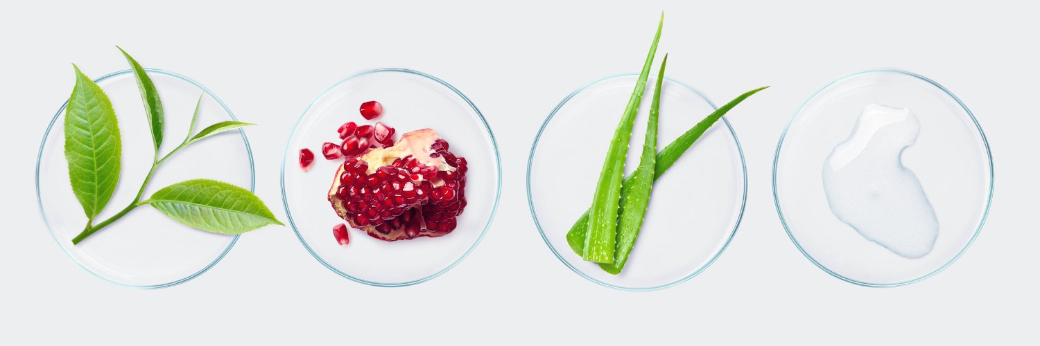 Rawganic's profile banner image