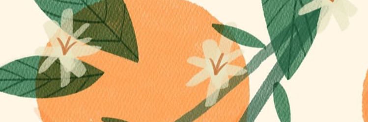 AnnaStuart2's profile banner image