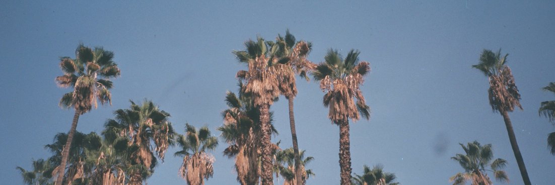 rafasalasv's profile banner image