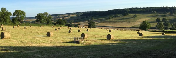 JTLeveille_LP Profile Banner