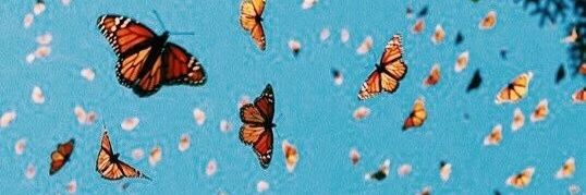 nathmota_'s profile banner image
