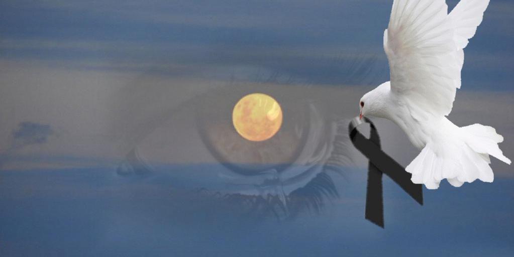PadulaLaura's profile banner image