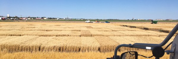 CSUCrops Profile Banner