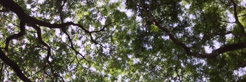 ang_schilds's profile banner image