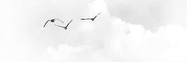 m_a222's profile banner image