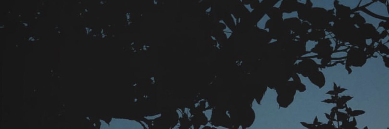 Marum_A's profile banner image