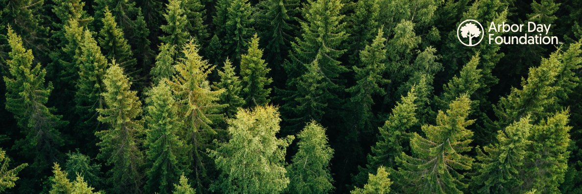 DanLambe's profile banner image