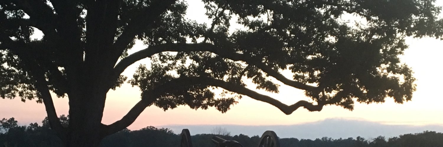 melburnor's profile banner image