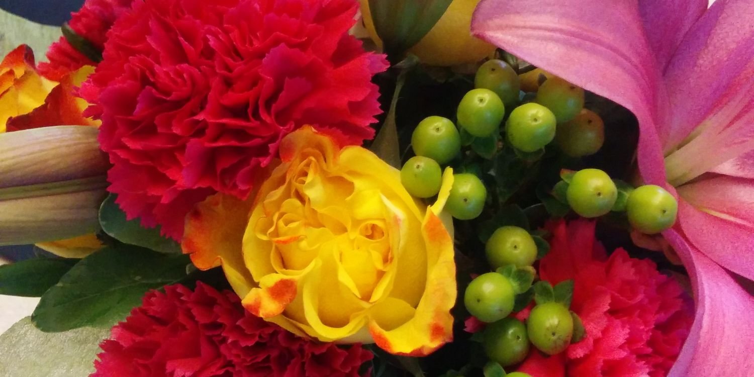 Anita111D's profile banner image