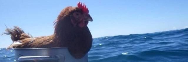AlfredoTress's profile banner image