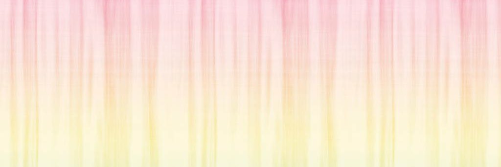 shivpatelll's profile banner image