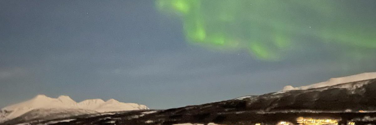 Bev Fitzsimons (she/her) 🧩 banner