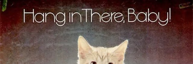 DavidStinson007's profile banner image