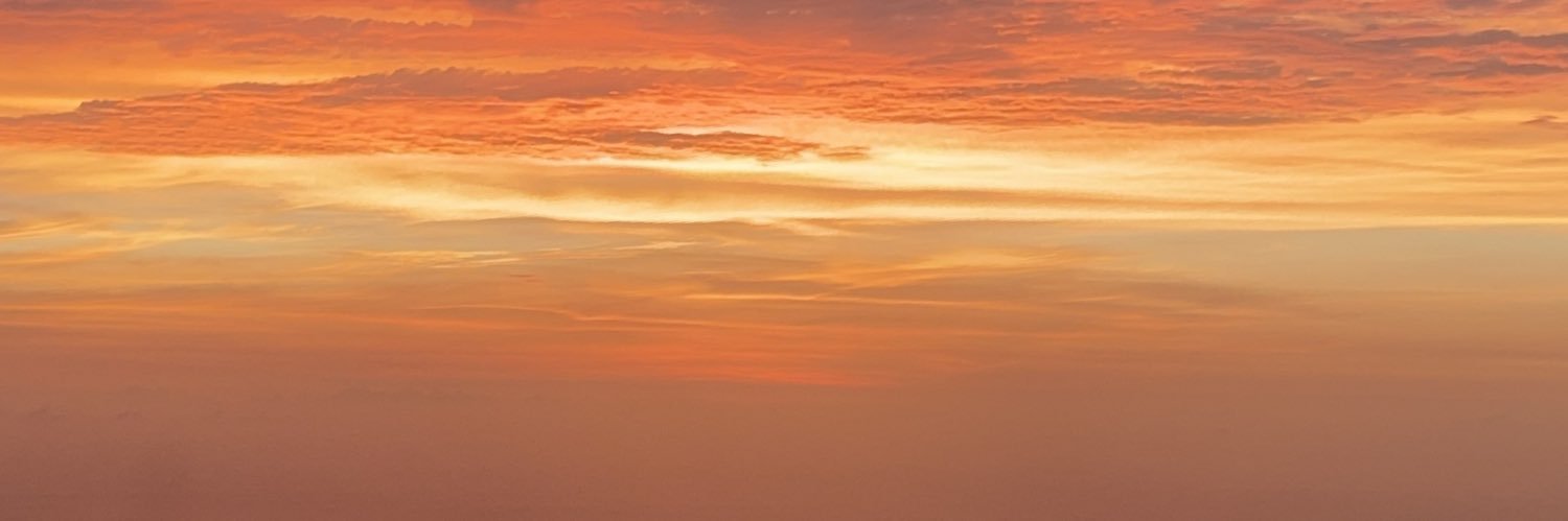 karolinarojasl's profile banner image
