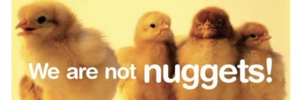 sibaburck Profile Banner