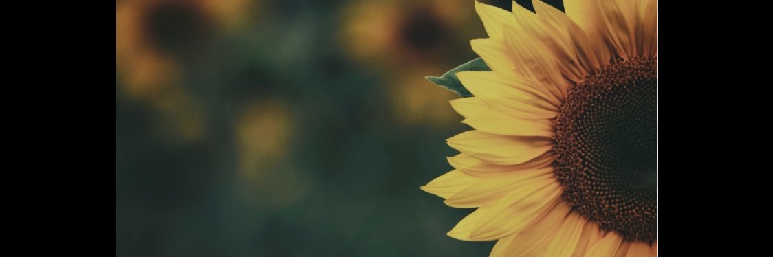 Rosemar343's profile banner image