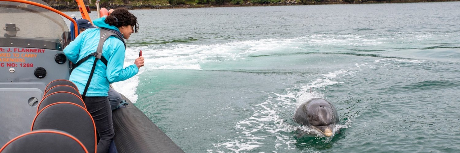 Lynne Kelleher banner