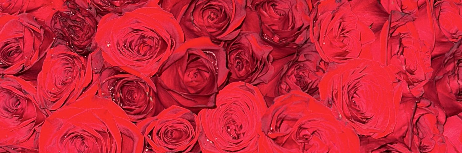 britestudillo's profile banner image
