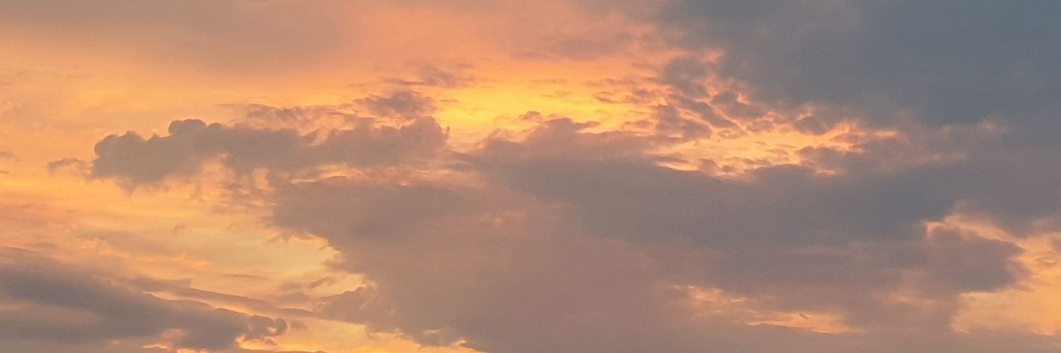 LarsRBorglum's profile banner image