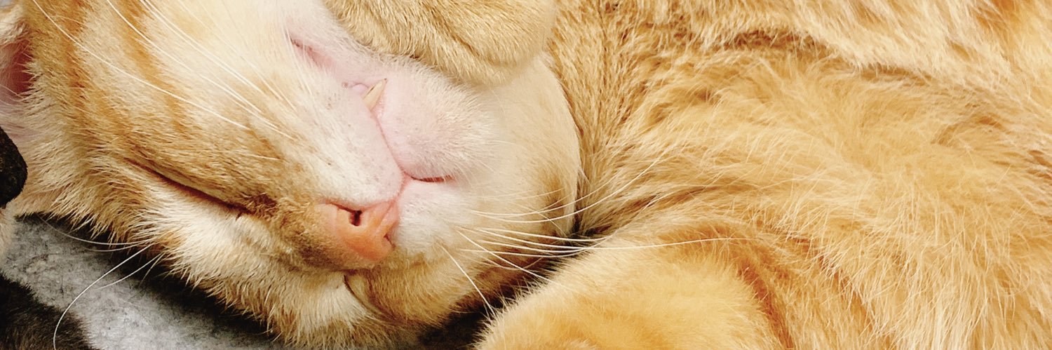 etsukatze's profile banner image