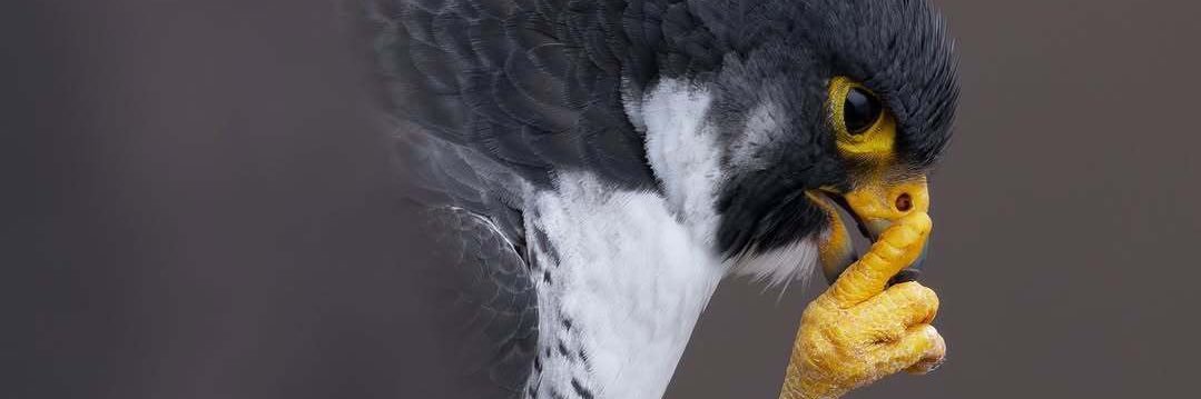 larn_b's profile banner image
