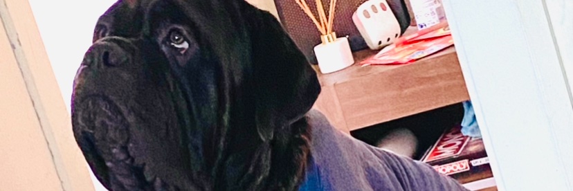 BigSammunta's profile banner image