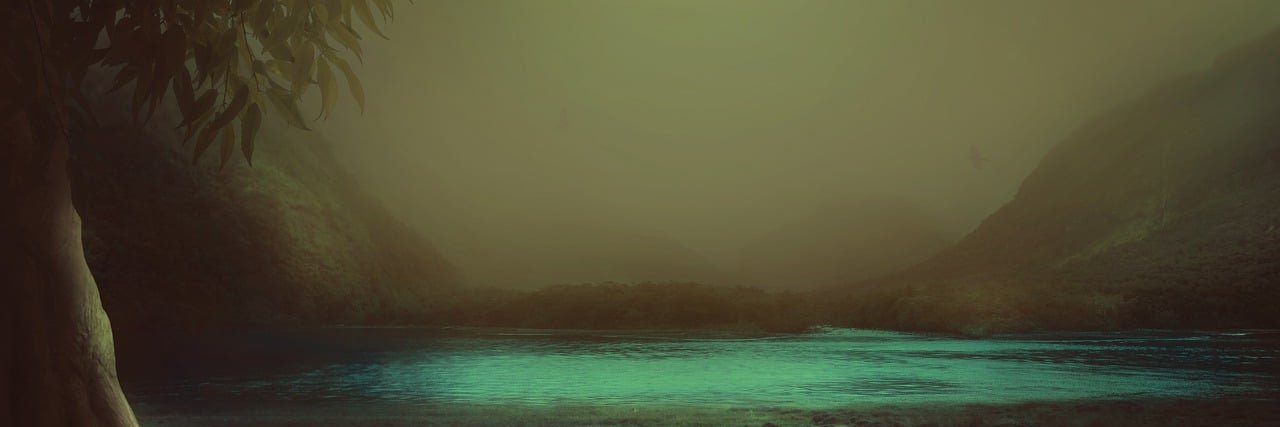 453234566's profile banner image