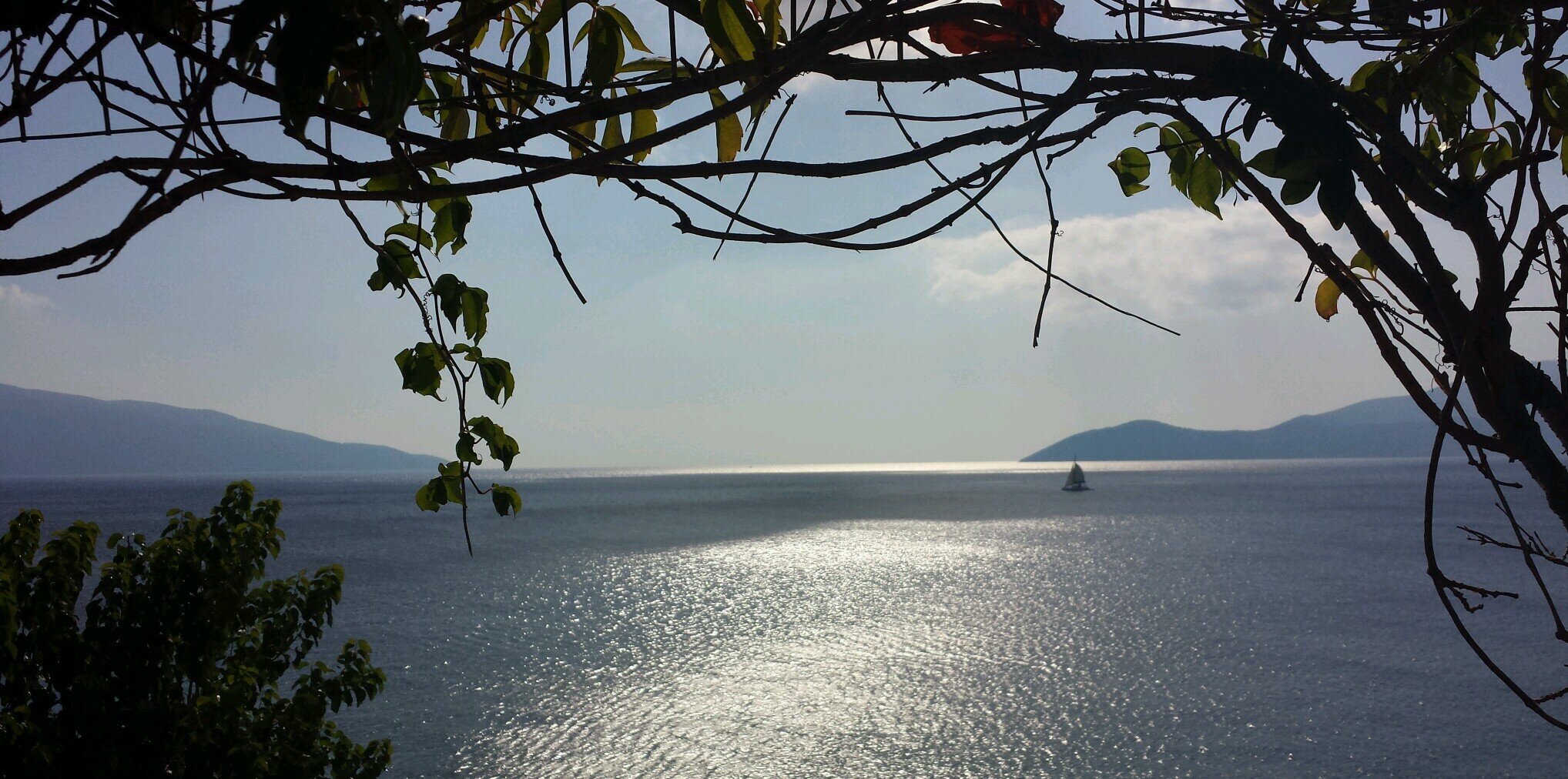 Seánna Holland banner