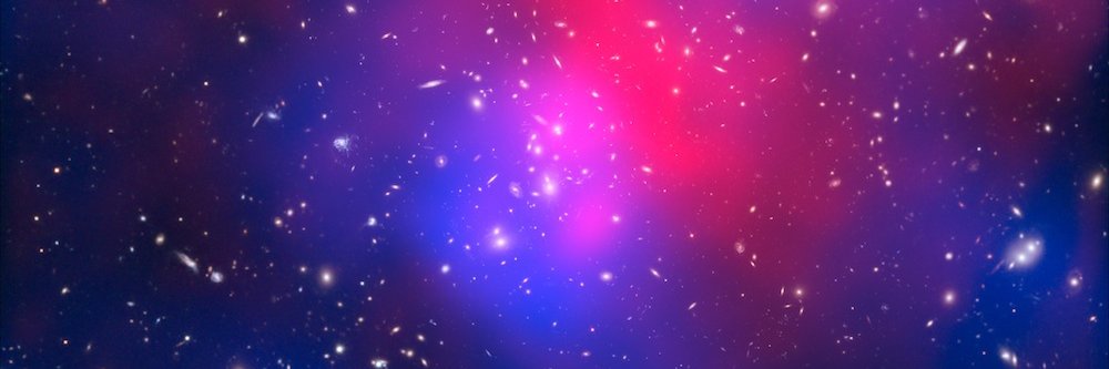 galactic_birdie's profile banner image