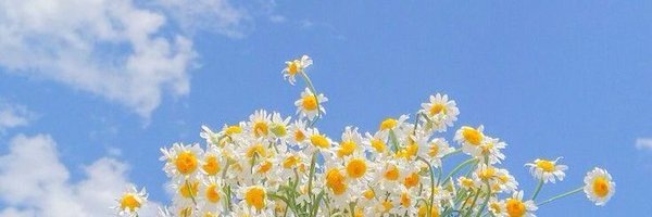 APetinatti Profile Banner