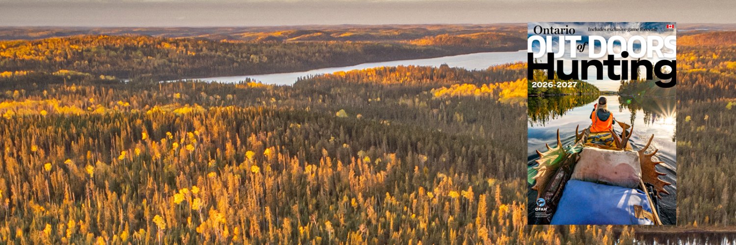 OODMag's profile banner image