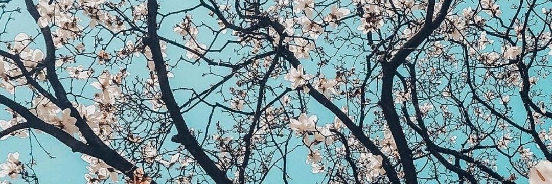 JuanlemusV's profile banner image
