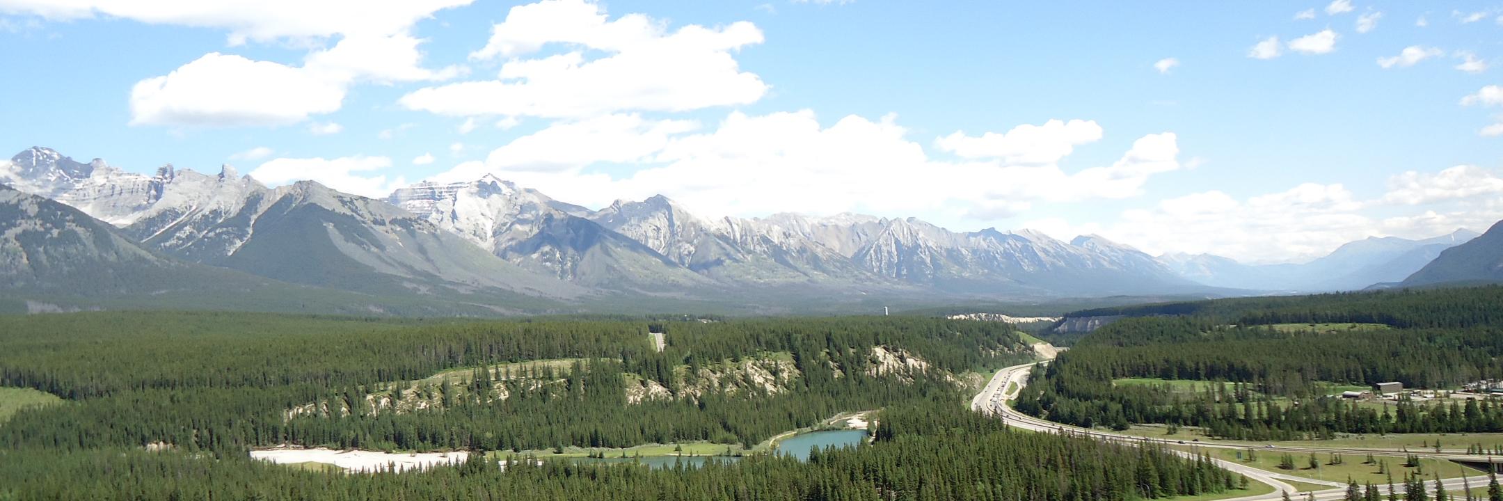 CAFP_Calgary's profile banner image