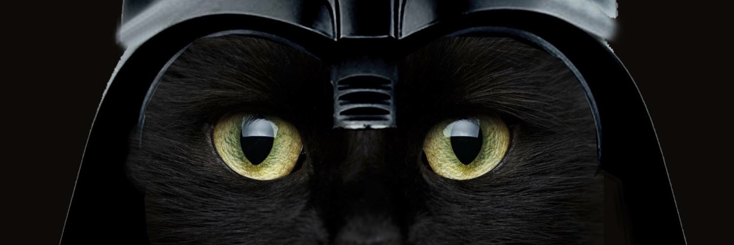 Mostrisima's profile banner image