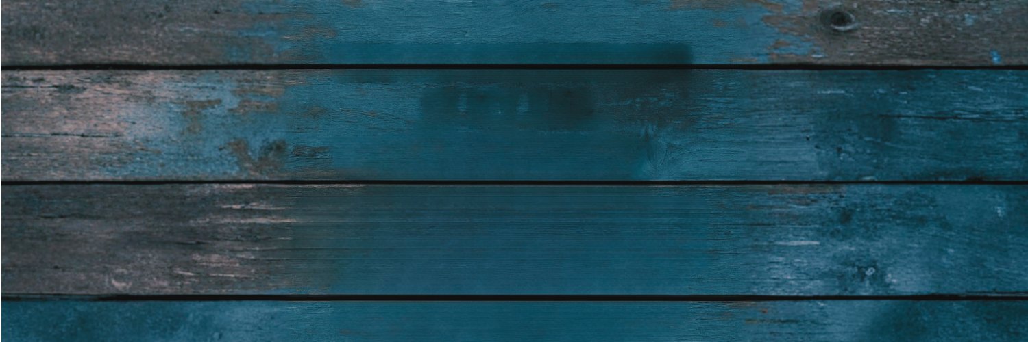 Barbara Shirkey banner