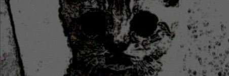 b1gsosaa's profile banner image