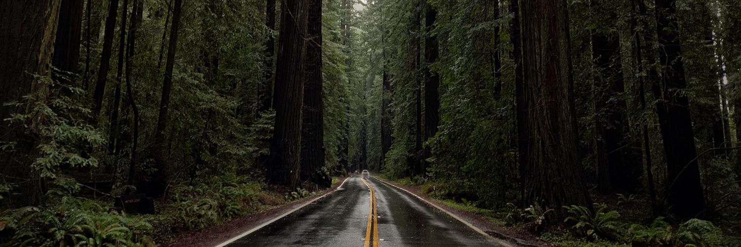 KateEsser27's profile banner image