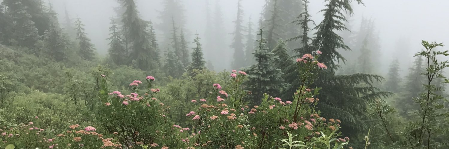 AllisonBuikema's profile banner image