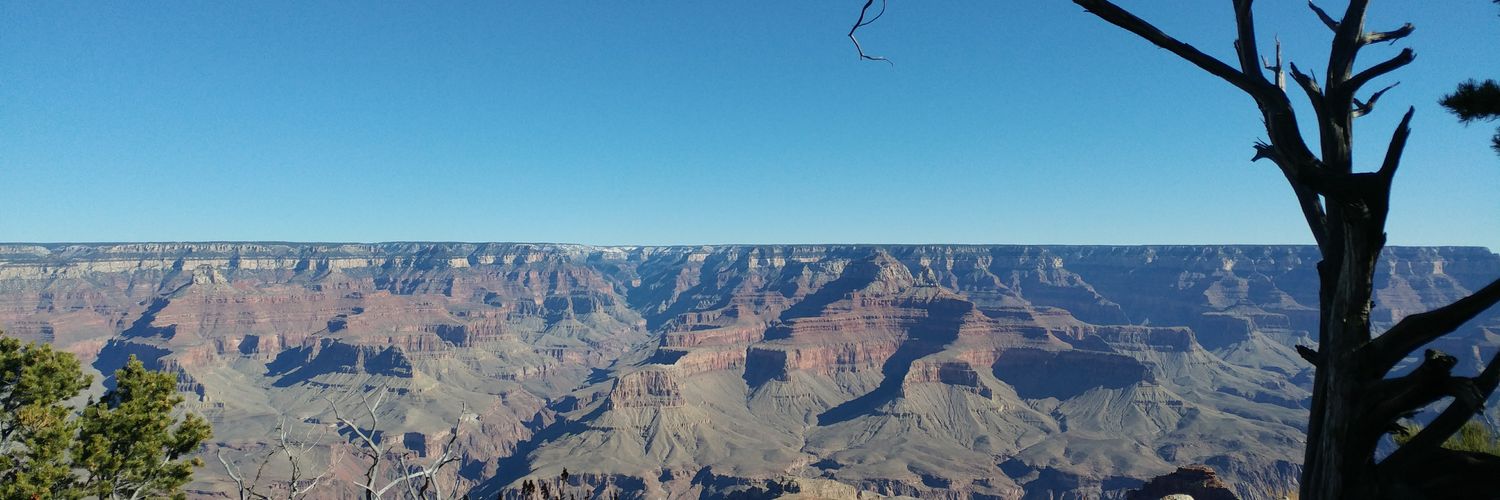 PproniAndPdgogy's profile banner image
