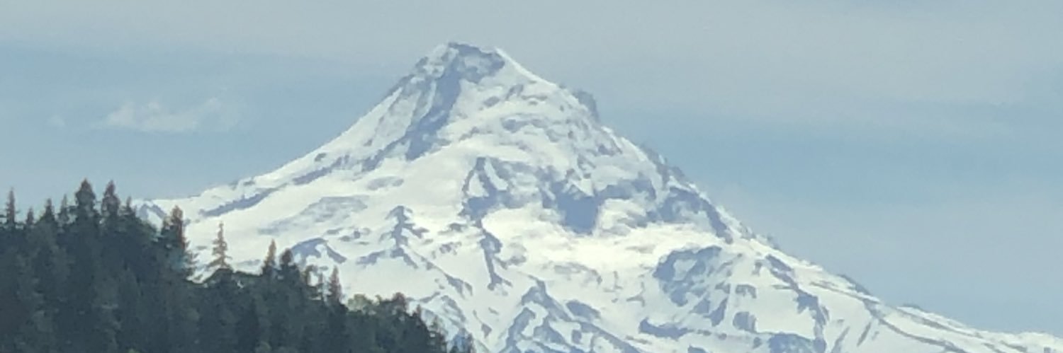 Nathalie Pamir banner