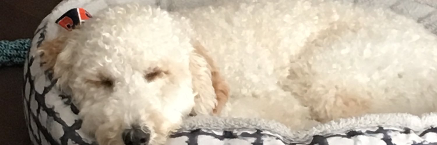 mannsg28's profile banner image