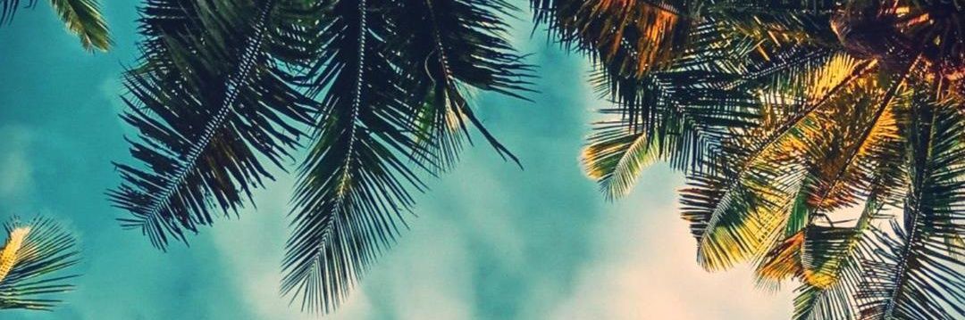 CaDelval's profile banner image