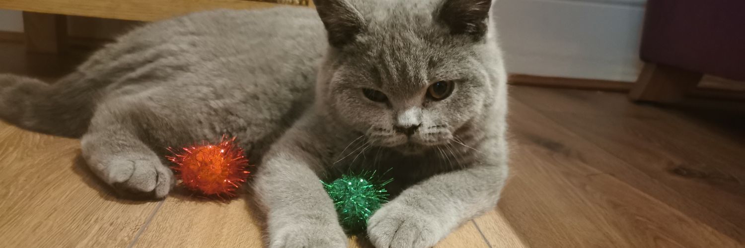 Natalie Smith banner