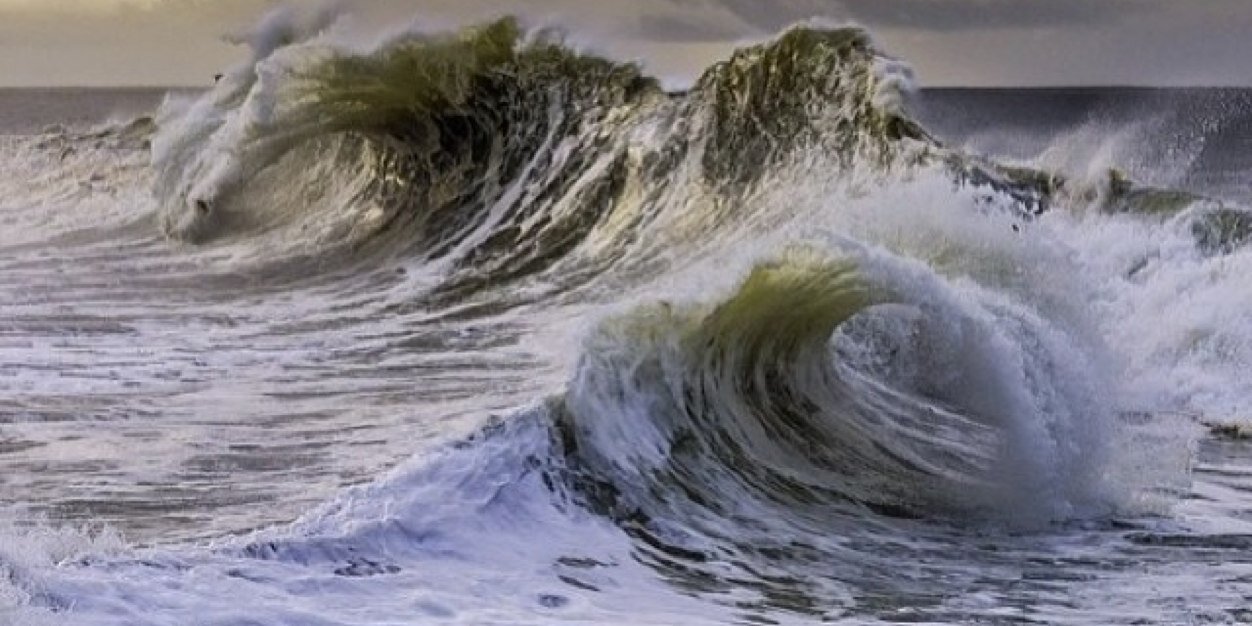 hamish daud wyllie banner