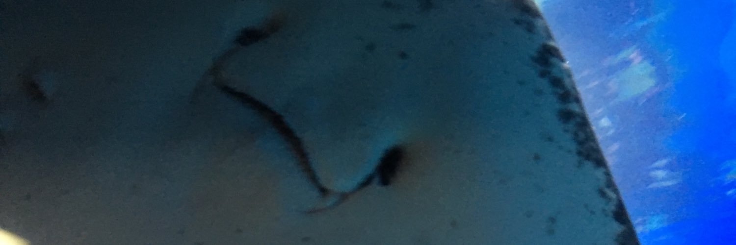 mossarinullpoga's profile banner image