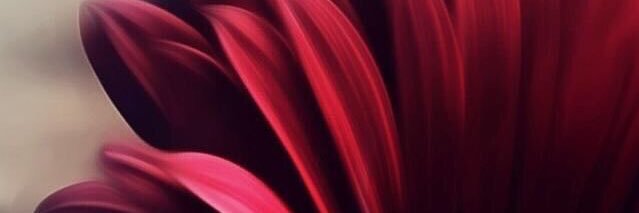Zozy9999's profile banner image