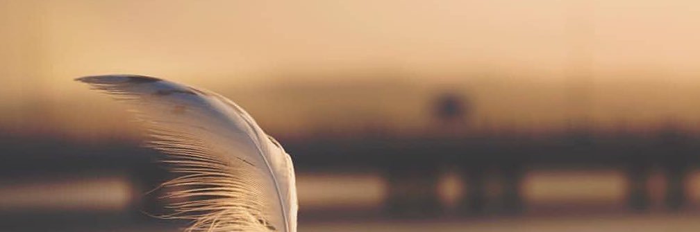 sultan_assa's profile banner image